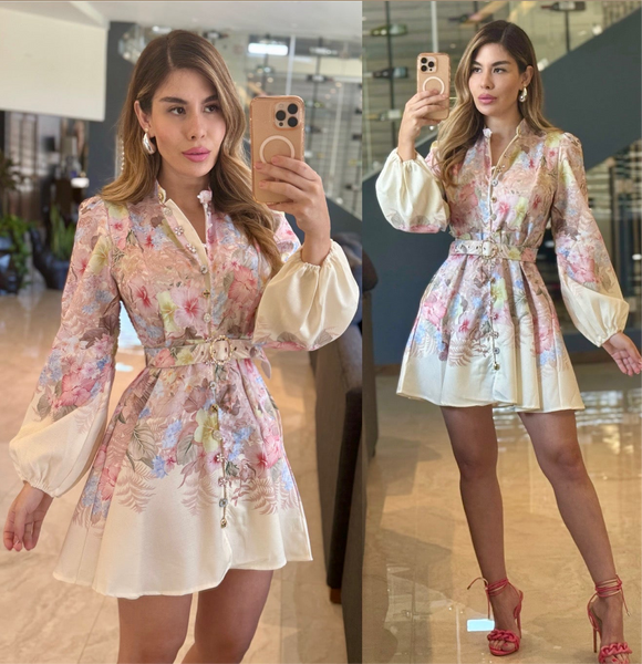 The nice girl dress